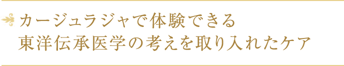 東洋医学をべースにしたアプローチ