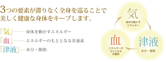 3つの要素が滞りなく全身を巡ることで美しく健康な身体をキープします。