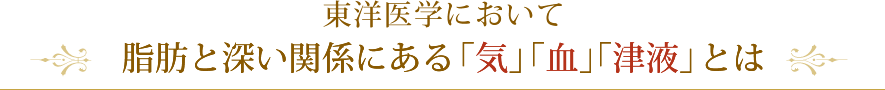 東洋医学において脂肪と深い関係にある「気」「血」「津液」とは