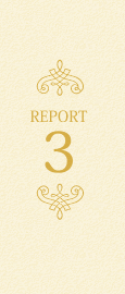 REPORT3