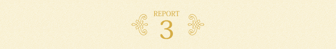 REPORT3