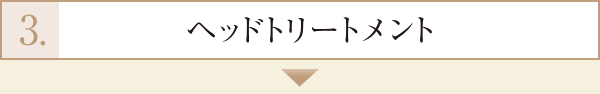 3.ヘッドトリートメント