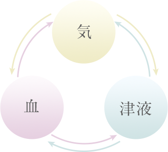 気、血、津液の関係図