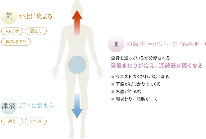 気が上に集まる（のぼせ、肩こり、顔のほてり）｜血の減少（＝女性ホルモン分泌の低下）:全身を巡っているが分断される、骨盤まわりが冷え、深部筋が固くなる｜津液が下に集まる（冷え、むくみ）